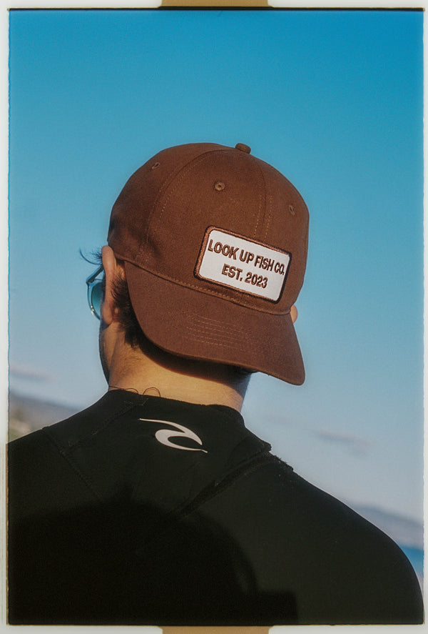 LookUp Vintage Fish Co Hat